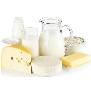 Dairy Product Manufacturing Miniplant